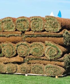 Pallet of Sod
